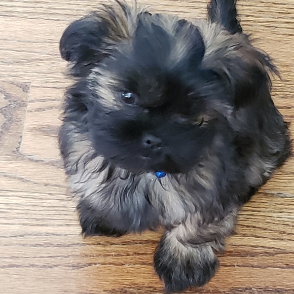 Meet your Posher, Jeanelle - Picture 9 of 11